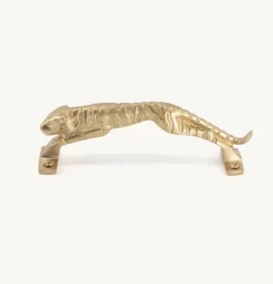 Doing Goods deurgreep James Jaguar