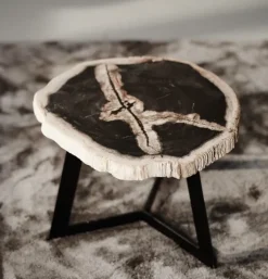 Salontafel Garung Versteend Hout