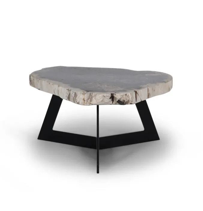 Salontafel Garung Versteend Hout