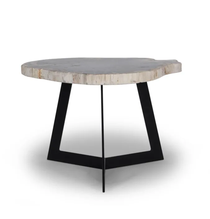 Salontafel Garung Versteend Hout