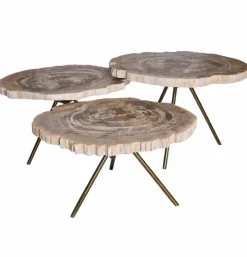 Salontafel Versteend Hout Driepoot
